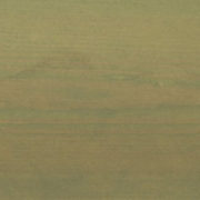 Swamp_tn