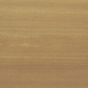 Teak_tn